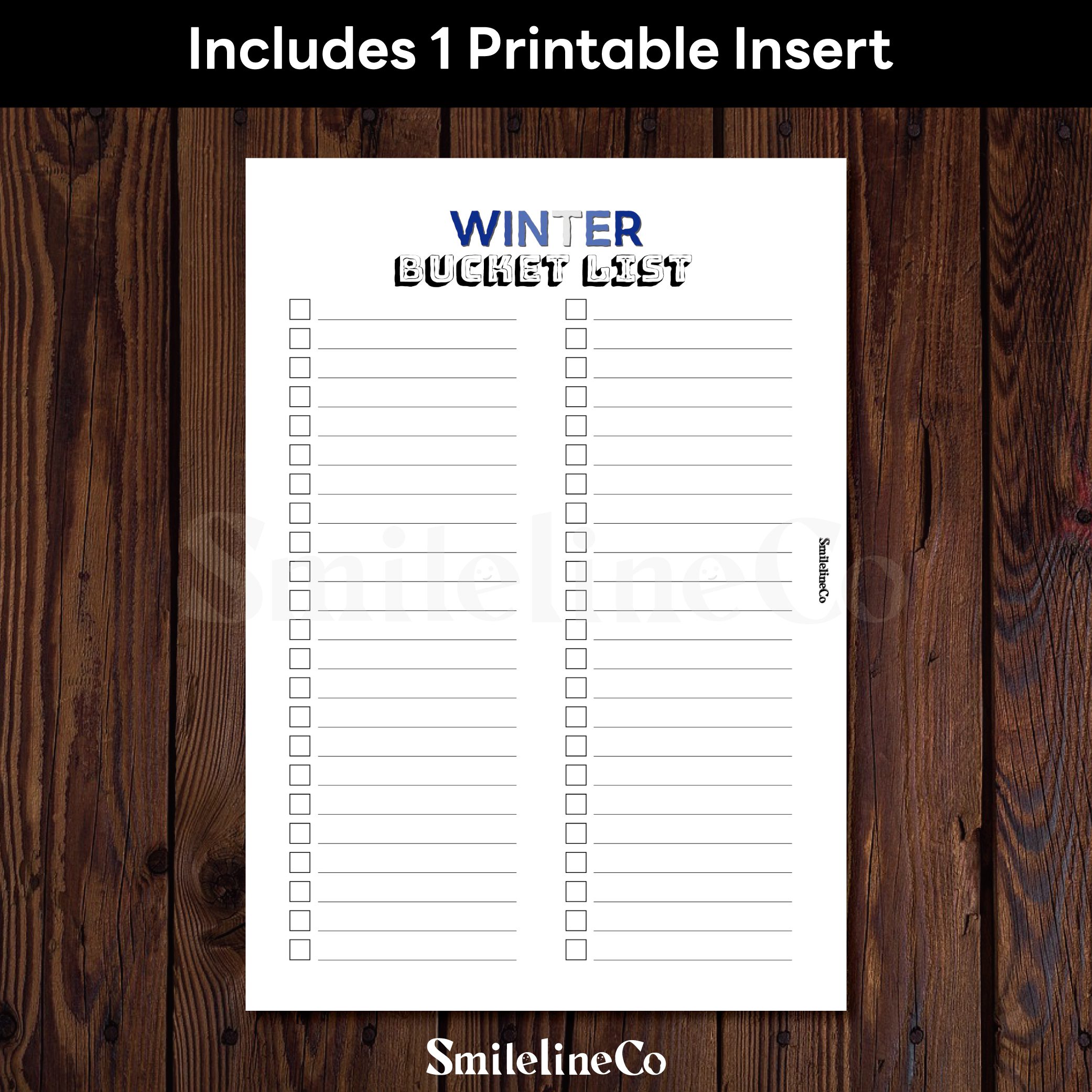 Winter Bucket List printable insert double sided design