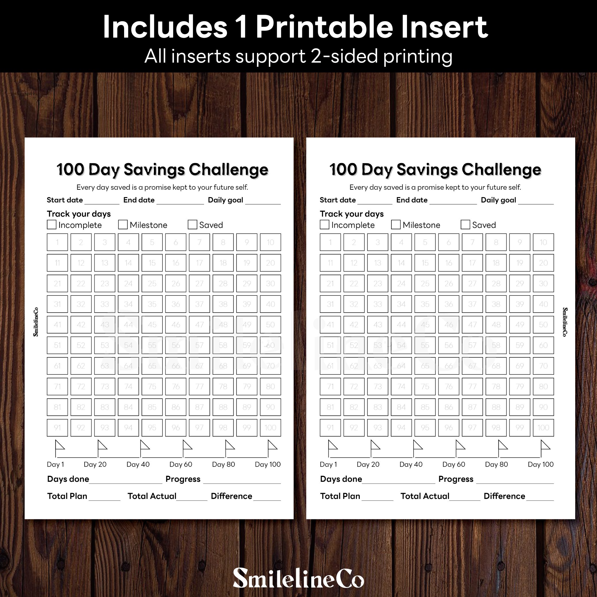 100 Day Savings Challenge printable insert double sided design