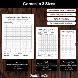 100 Day Savings Challenge printable available in A4 A5 Personal size