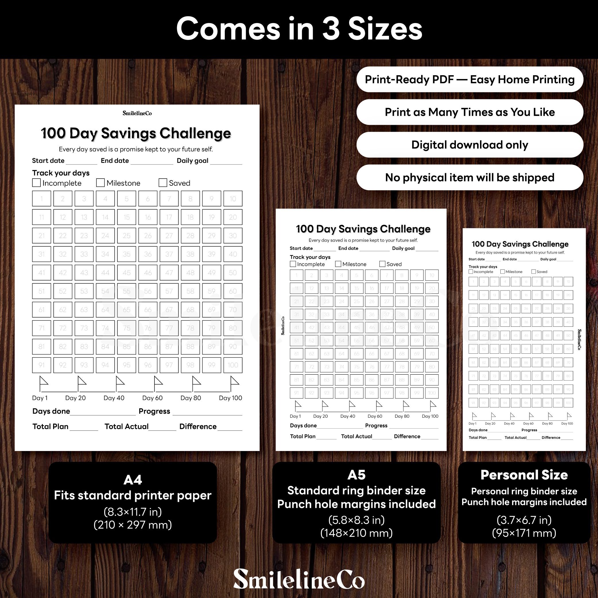 100 Day Savings Challenge printable available in A4 A5 Personal size