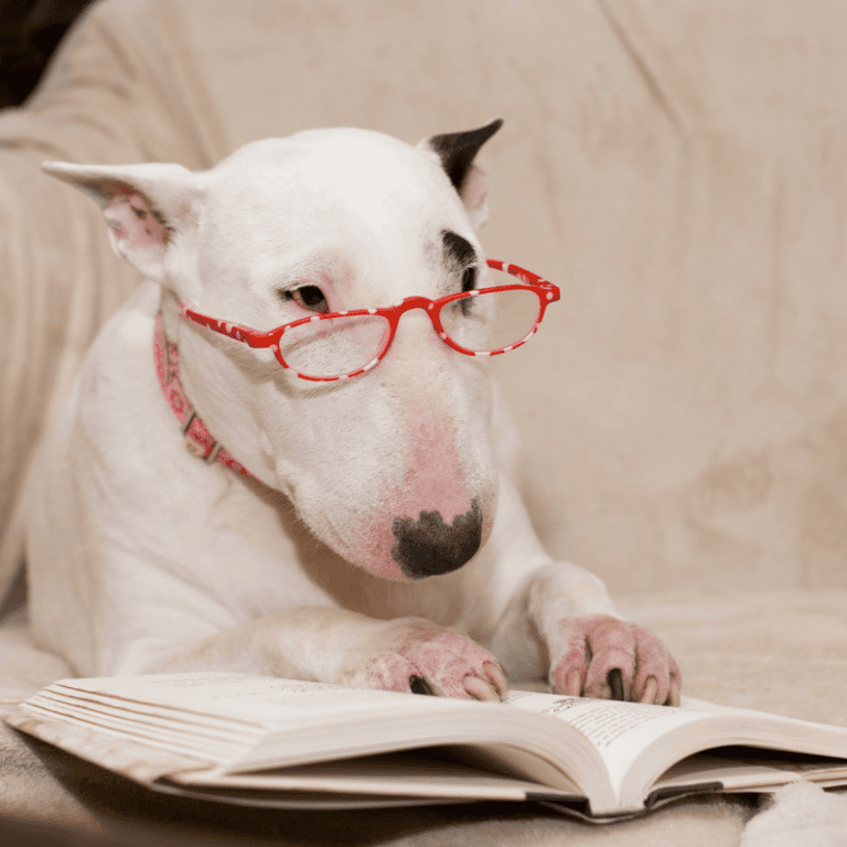 How to Use the Feynman Technique for Difficult Books image