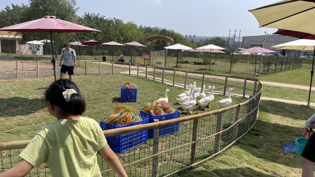 Children trying the goose toss game at Huaguoyuan Farm in Changsha