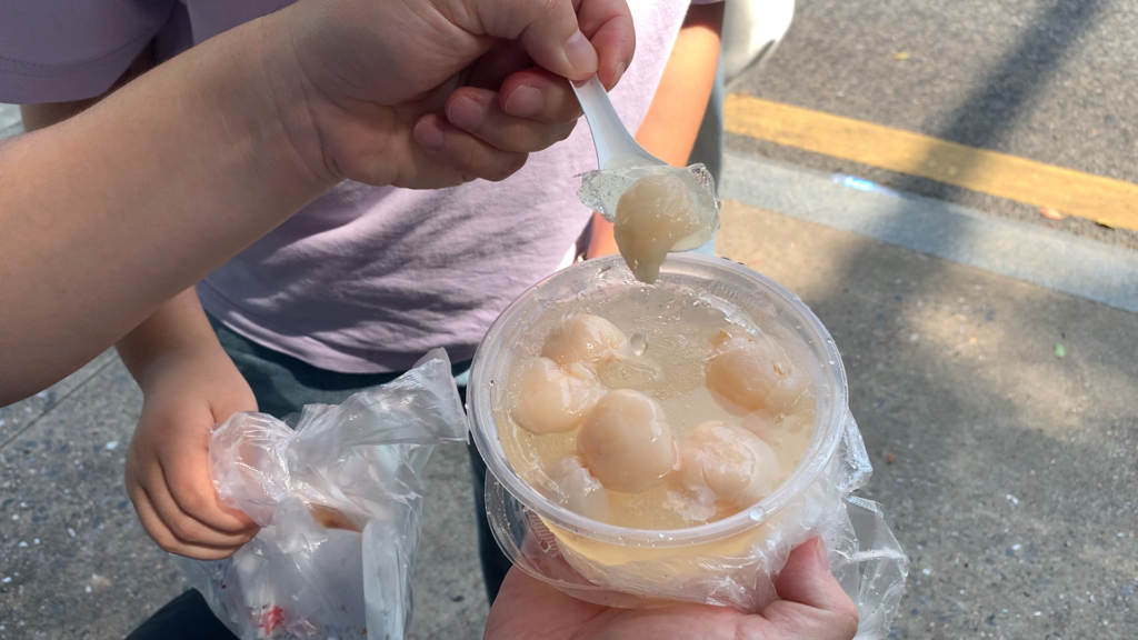 Tianma beef pie and a cup of iced lychees at a Chinese street food stall-3